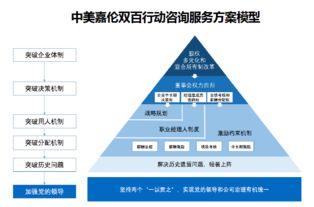 双百行动信息咨询服务产品手册